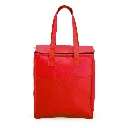 Bolsa-Termica-9-Litros-VERMELHO-17302-1697225468.webp