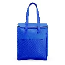 Bolsa-Termica-9-Litros-AZUL-17298-1697225466.webp