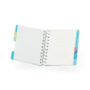 Caderno-Pequeno-com-Divisorias-15911d4-1678212677.webp