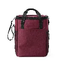Bolsa-Termica-16-Litros-VERMELHO-18333-1706897810.webp