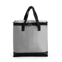 Bolsa-Termica-20-Litros-CINZA-23761-1752856477.webp