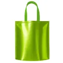 Sacola-TNT-Metalizado-VERDE-CLARO-29022-1784136408.webp