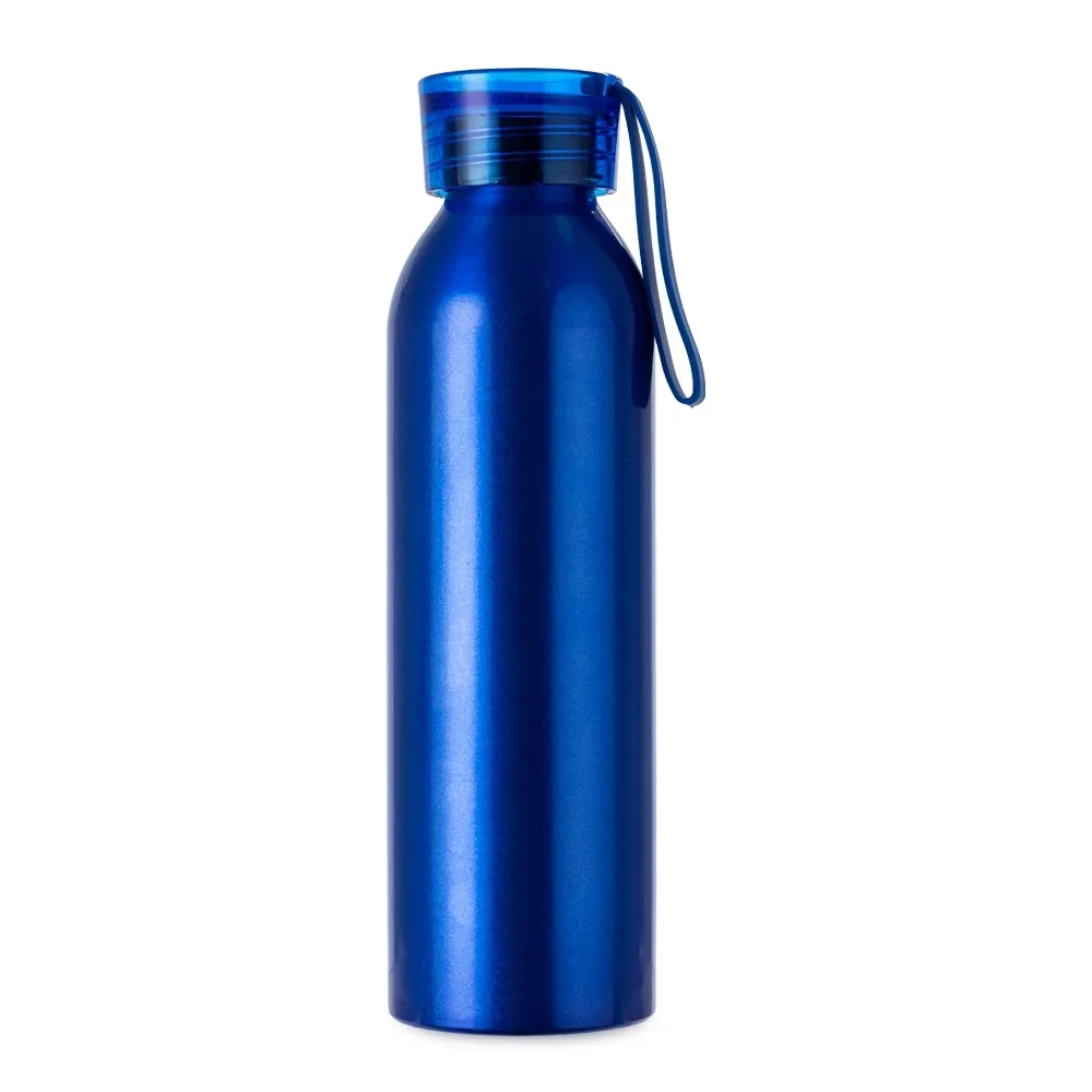 Garrafa-Aluminio-650ml-29282-1785437735.webp