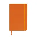Caderneta-Emborrachada-LARANJA-19521-1719603401.webp
