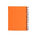 Caderneta-Plastica-19868d3-1727263860.webp