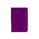 Caderneta-Capa-Dura-ROXO-20942-1727714495.webp