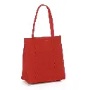 Sacola-TNT-Termica-18-Litros-VERMELHO-12699-1614696264.webp