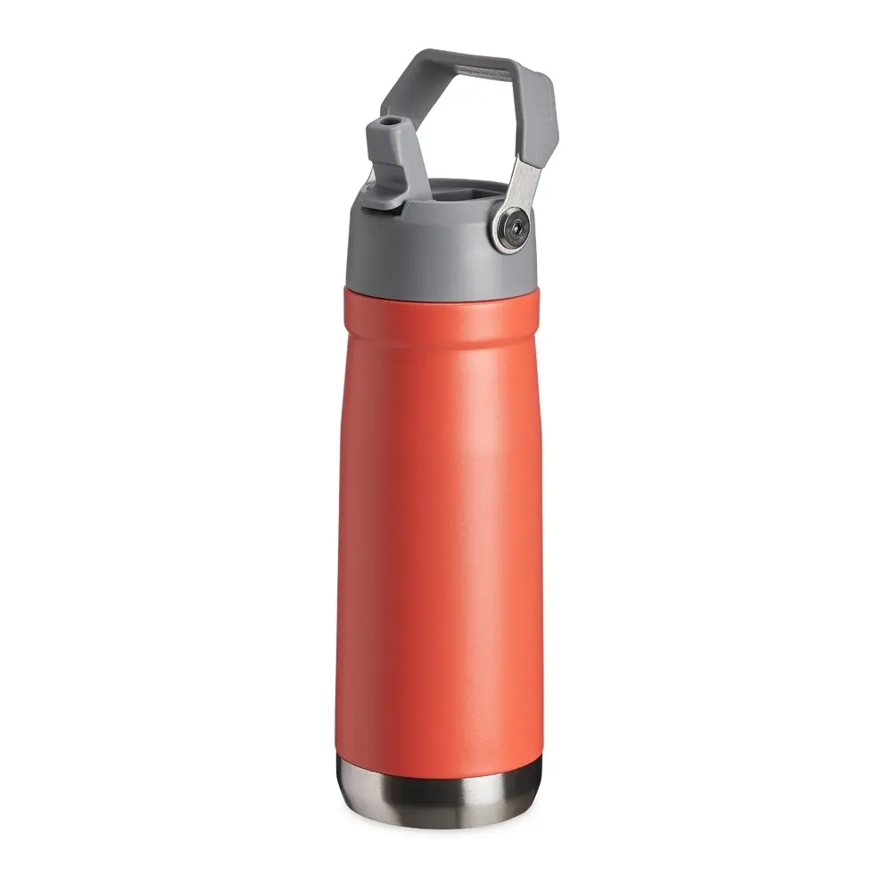 Garrafa-Termica-650ml-14993d2-1663083063.webp