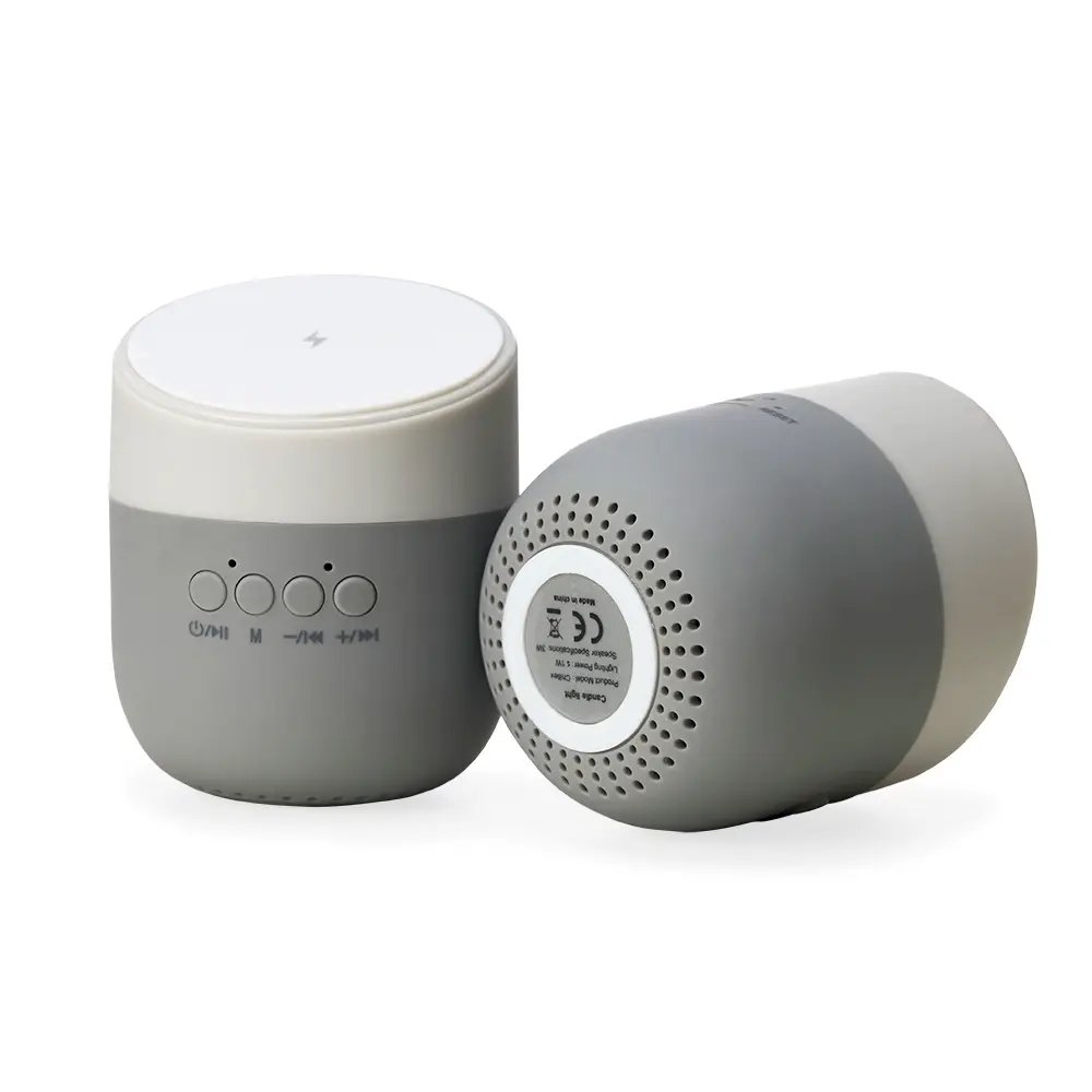 Caixa-de-Som-com-Carregador-por-Inducao-13835d5-1640021345.webp