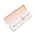 Caneta-de-Metal-com-Estojo-plastico-13096d4-1697633907.webp