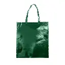 Sacola-TNT-Metalizado-VERDE-27179-1770144102.webp