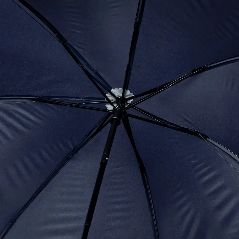 Guarda-Chuva-Manual-18616d3-1744144250.webp