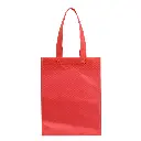 Sacola-TNT-VERMELHO-23290-1747740365.webp