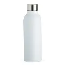 Garrafa-Inox-800ml-17184-1697219964.webp