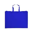 Sacola-TNT-AZUL-20339-1726496310.webp