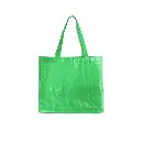 Sacola-Plastica-VERDE-20973-1728071429.webp