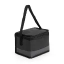 Bolsa-Termica-5L-27339d2-1772819134.webp