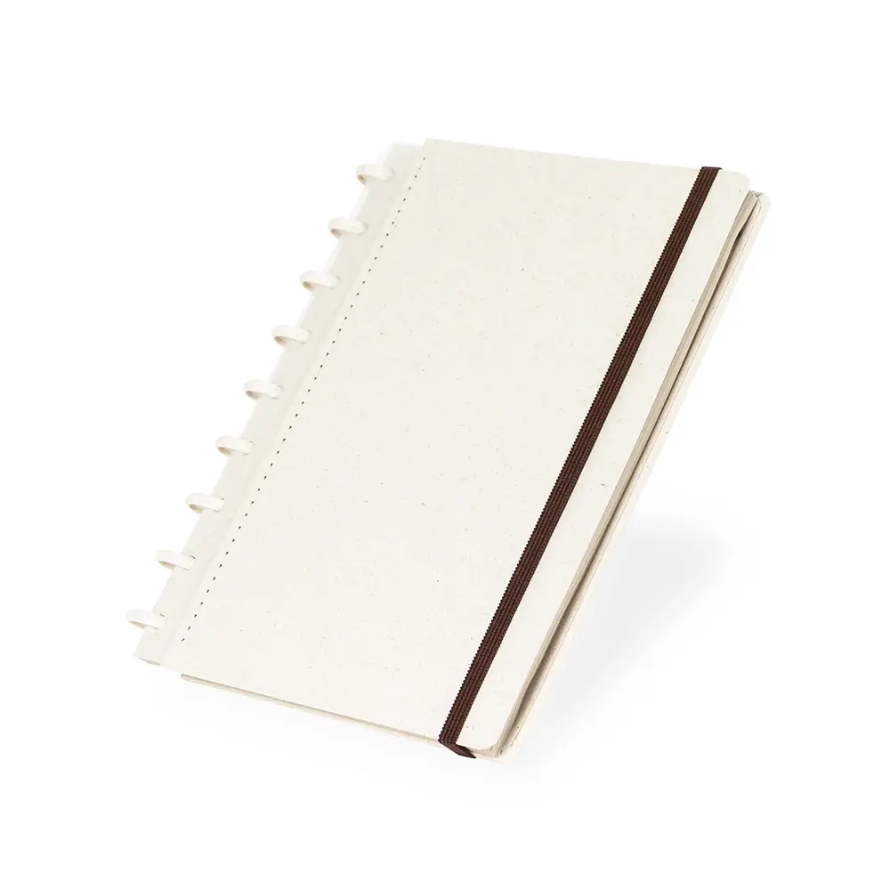 Caderno-de-Disco-Ecologico-25501d3-1759321544.webp