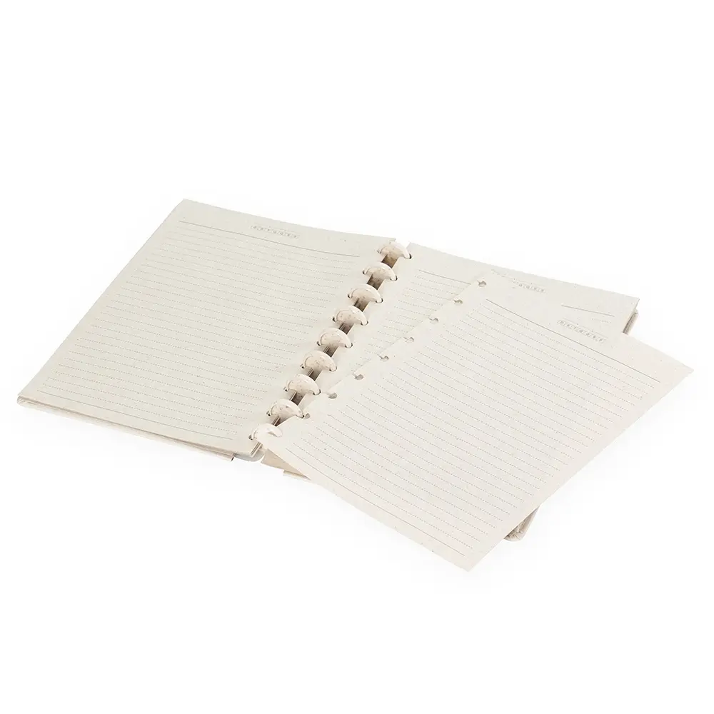 Caderno-de-Disco-Ecologico-25501d2-1759321544.webp