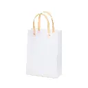 Sacola-Plastica-26645-1765564748.webp