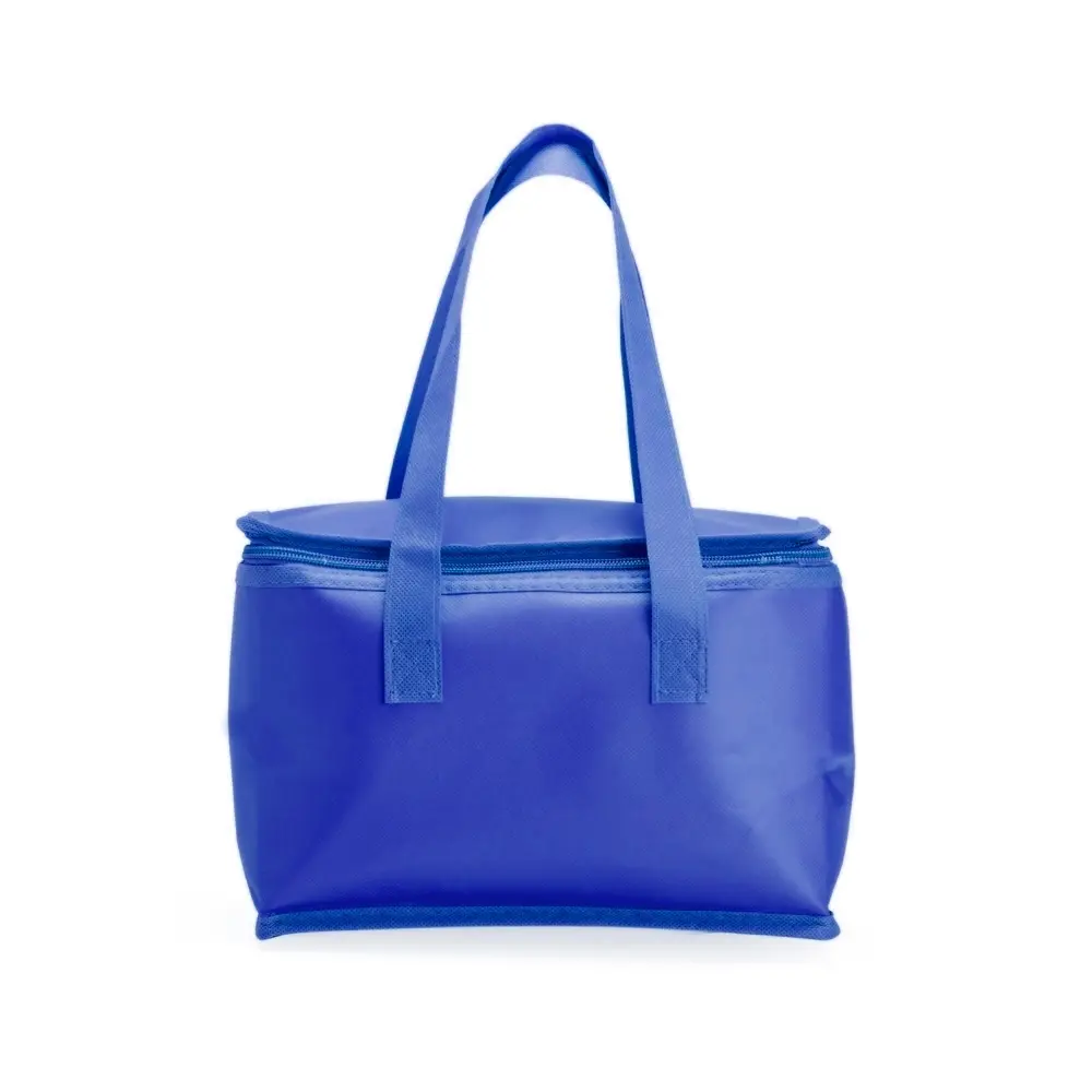 Bolsa-Termica-6-Litros-AZUL-18084-1704887111.webp
