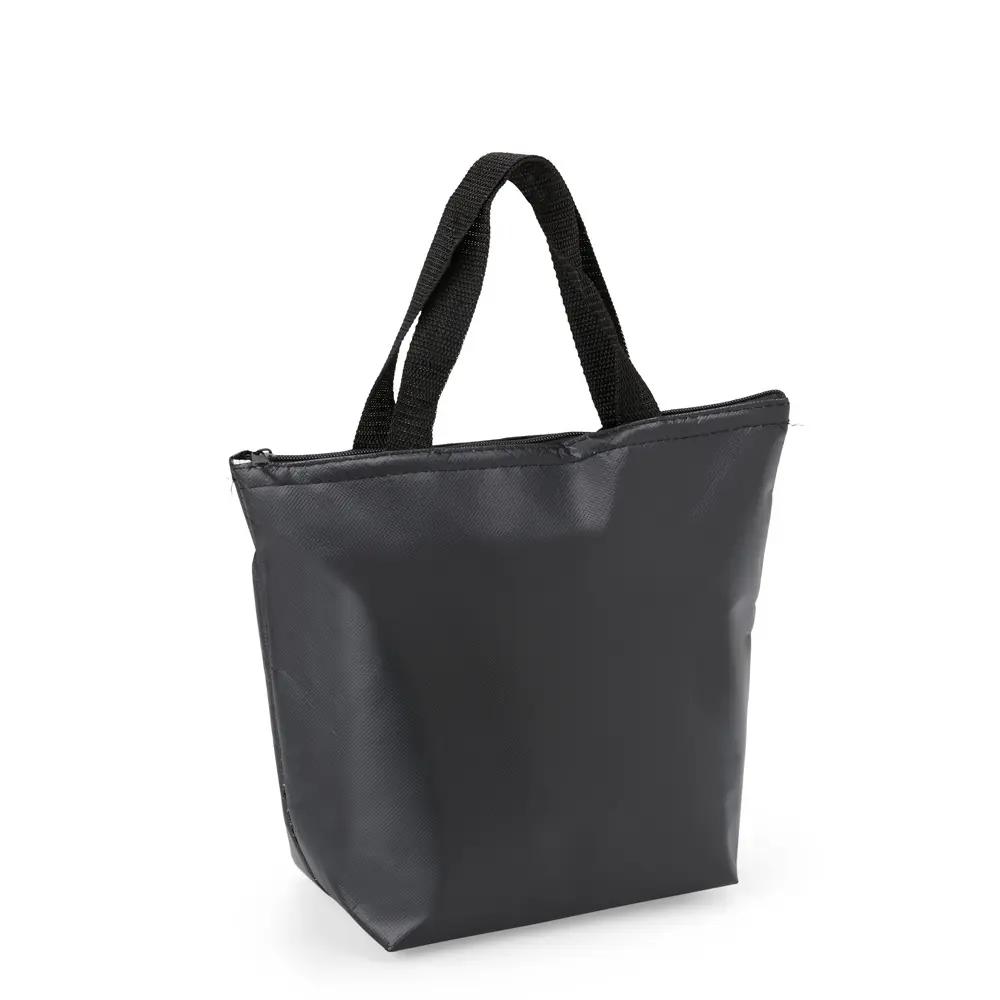 Bolsa-Termica-9-6-Litros-21202-1732200339.webp