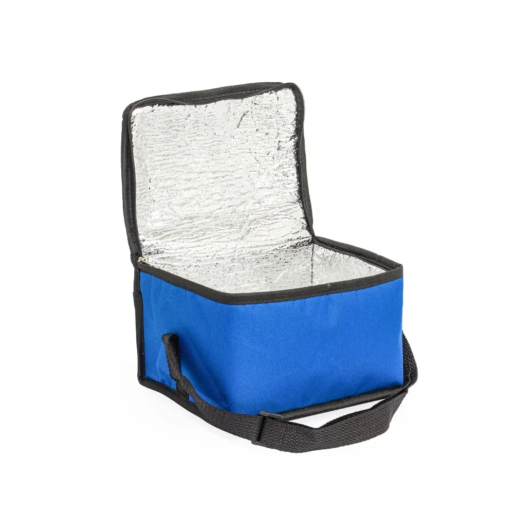 Bolsa-Termica-8-Litros-19890d2-1724341726.webp