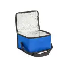 Bolsa-Termica-8-Litros-19890d2-1724341726.webp