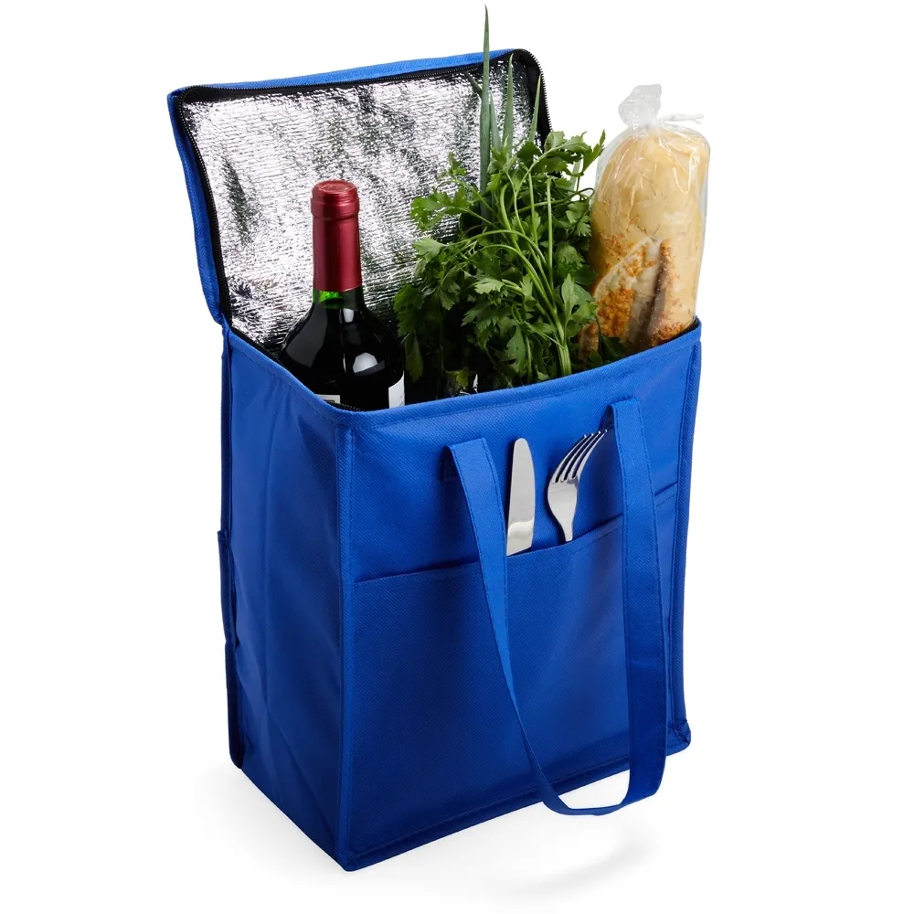 Bolsa-Termica-9-Litros-17297d2-1697225465.webp