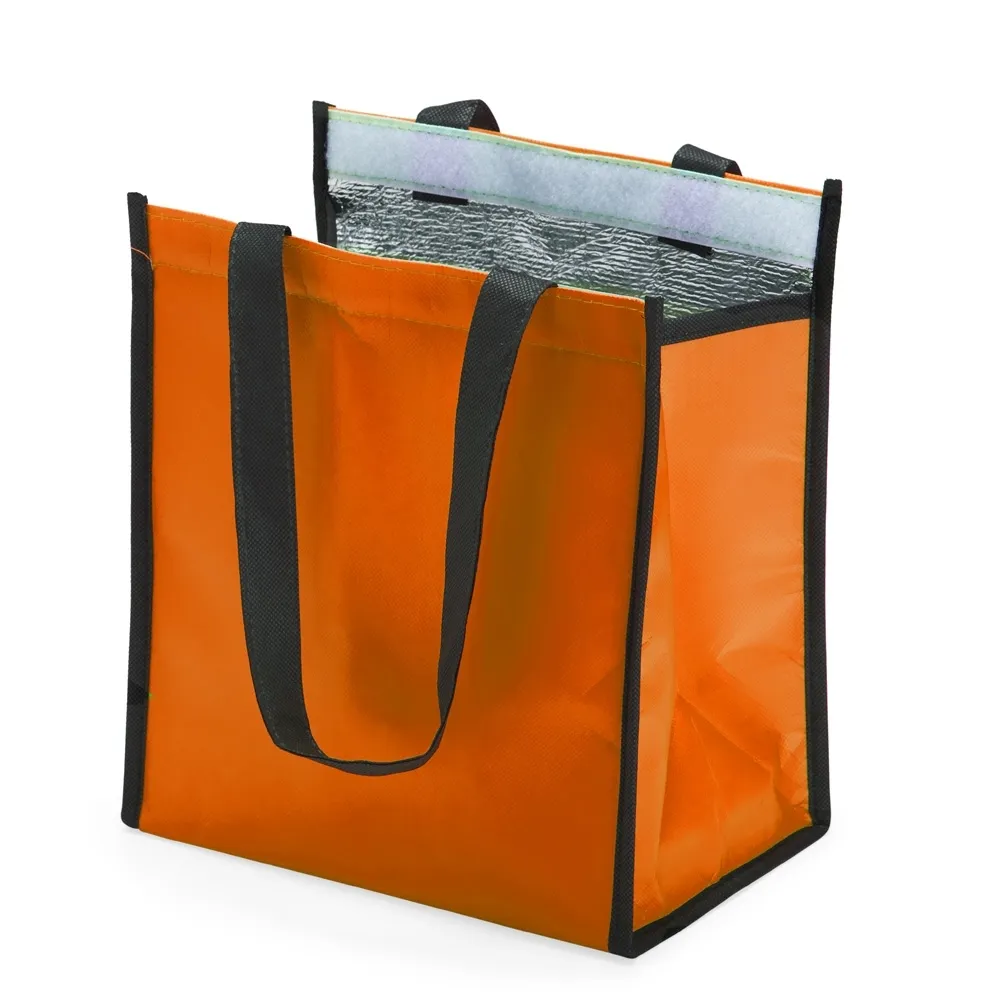 Bolsa-Termica-6-Litros-17309d2-1697224829.webp