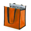 Bolsa-Termica-6-Litros-17309d2-1697224829.webp