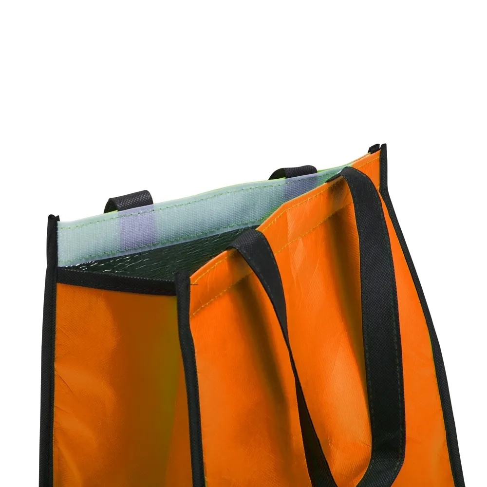 Bolsa-Termica-6-Litros-17309d3-1697224830.webp