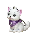22.webp