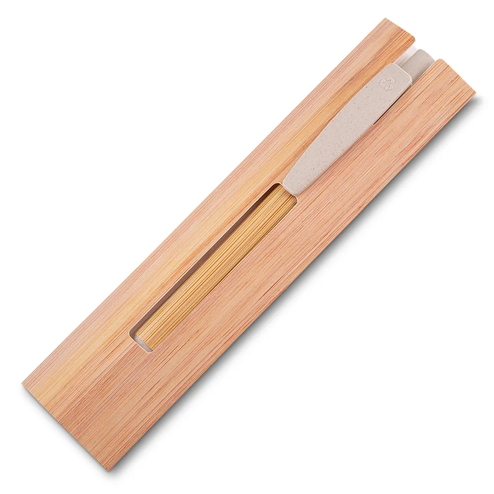 Caneta-1884d4-1637261280.webp