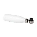 Garrafa-Termica-Inox-500ml-20951d2-1727715869.webp