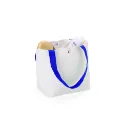 Bolsa-de-Lona-21326d2-1732279772.webp