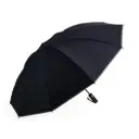 Guarda-Chuva 