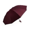 Guarda-Chuva 
