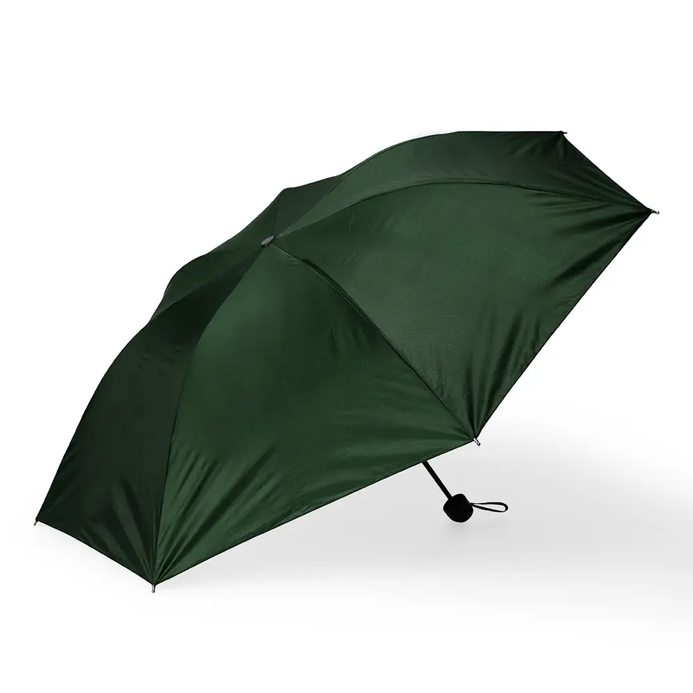 Guarda-Chuva Manual 
