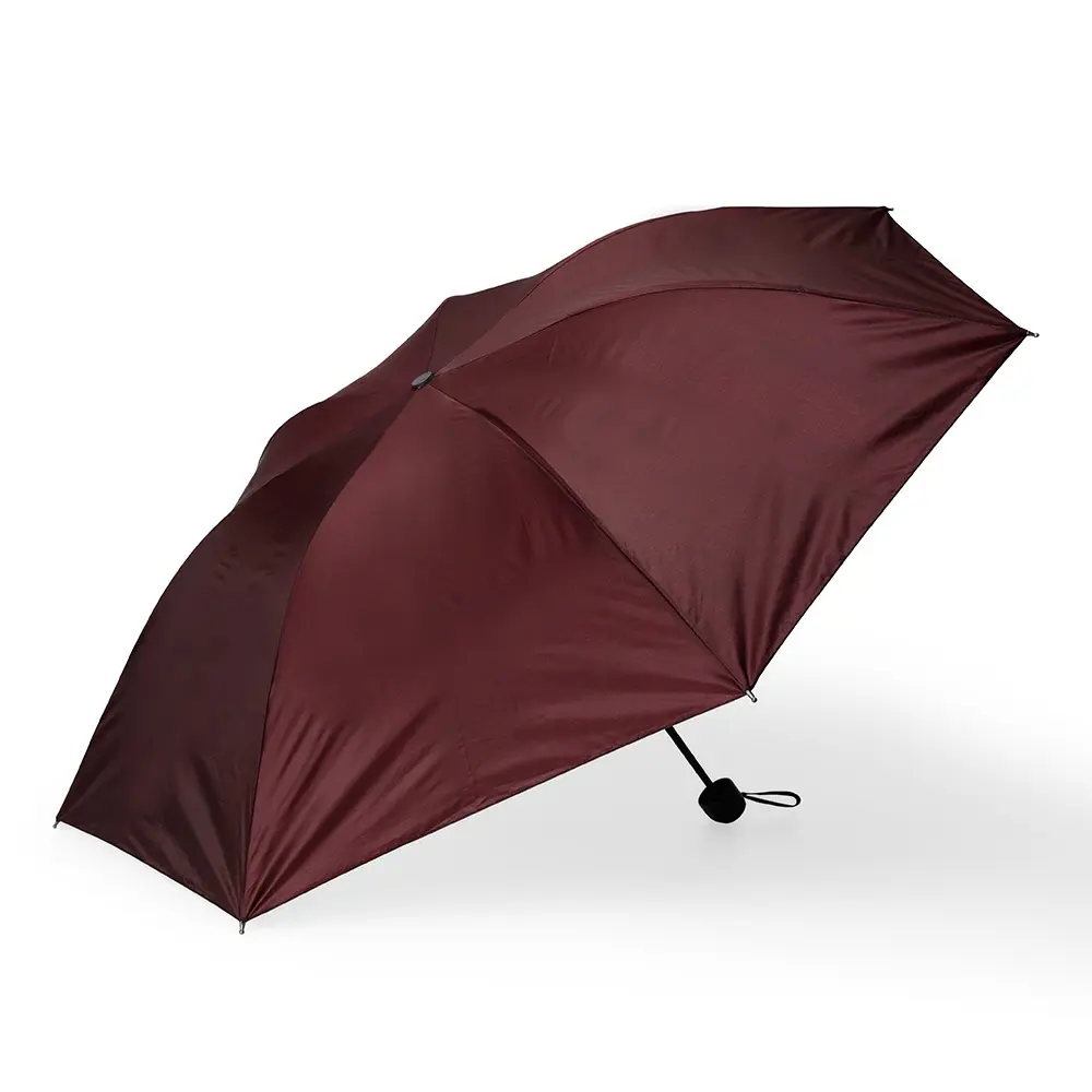 Guarda-Chuva Manual 
