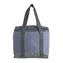 Bolsa Térmica 15L 