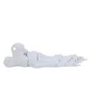 Moldura Pé Esqueleto 3D