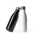 Garrafa Inox 650Ml 
