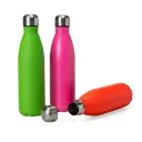 Garrafa 750Ml Inox 
