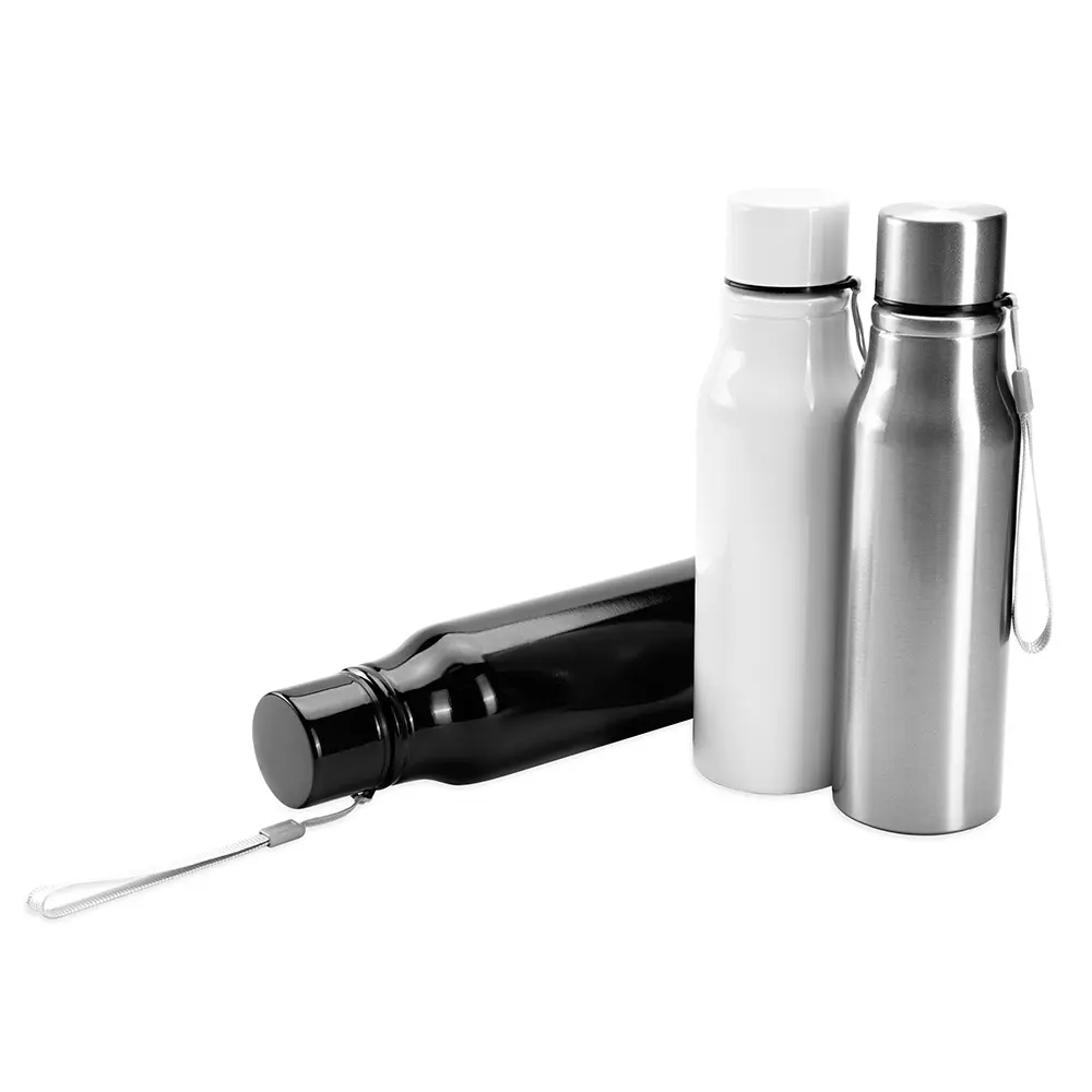 Garrafa Inox 750Ml