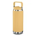 Garrafa Térmica 850Ml 