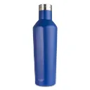 Garrafa Térmica 520Ml