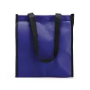 Bolsa Térmica 12L