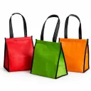 Bolsa Térmica 12L