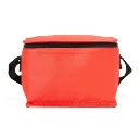 Bolsa Térmica 4 Litros
